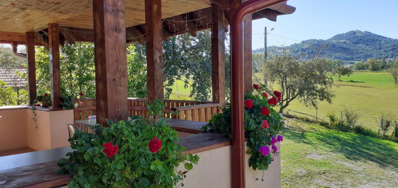Pensiunea Agroturistica Ica Valea Draganului Bagian luar foto