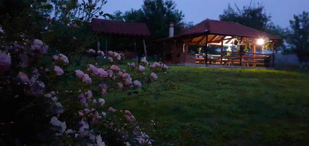 Pensiunea Agroturistica Ica Valea Draganului Bagian luar foto