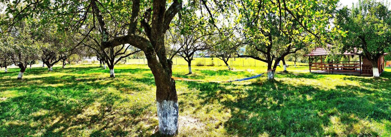 Pensiunea Agroturistica Ica Valea Draganului Bagian luar foto