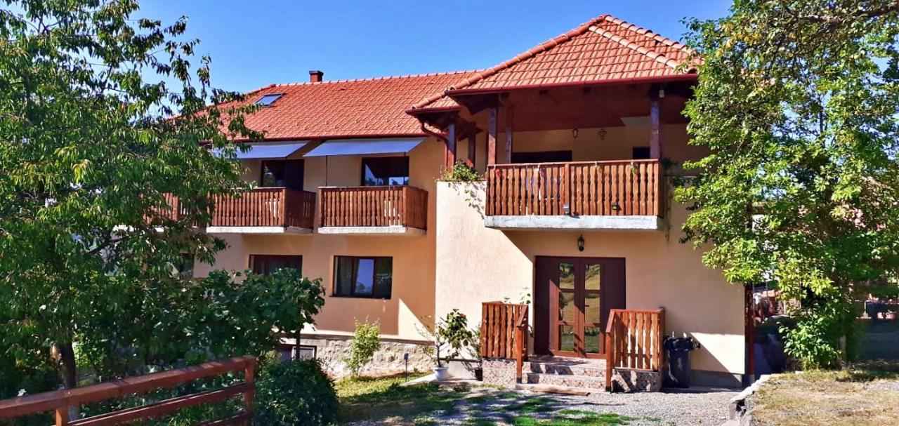 Pensiunea Agroturistica Ica Valea Draganului Bagian luar foto