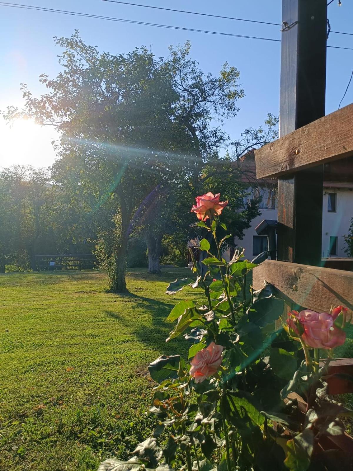 Pensiunea Agroturistica Ica Valea Draganului Bagian luar foto