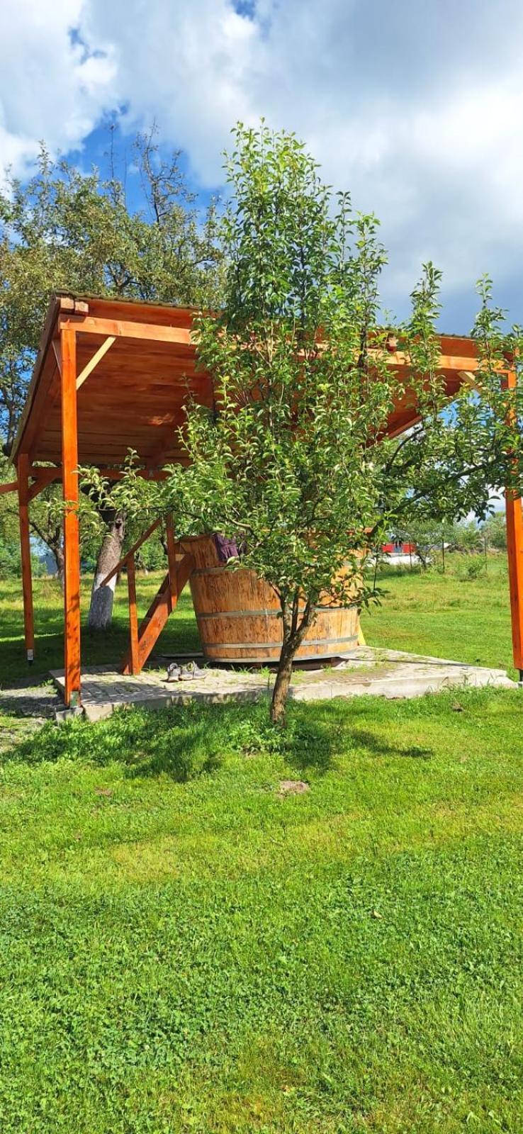 Pensiunea Agroturistica Ica Valea Draganului Bagian luar foto