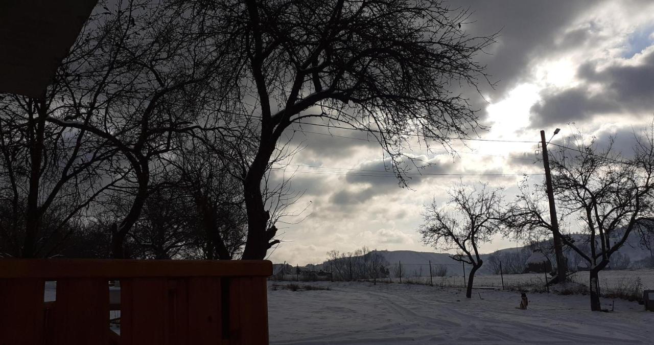 Pensiunea Agroturistica Ica Valea Draganului Bagian luar foto